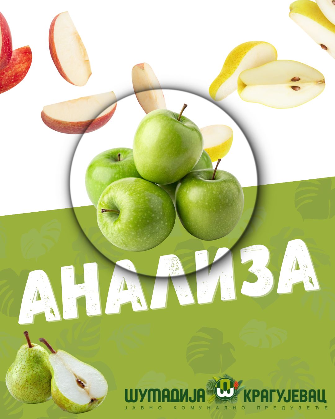 Ispitivane namirnice bezbedne za upotrebu